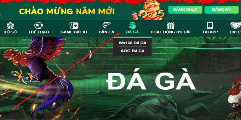 Đá gà OK365 livestream những trận đấu đỉnh cao