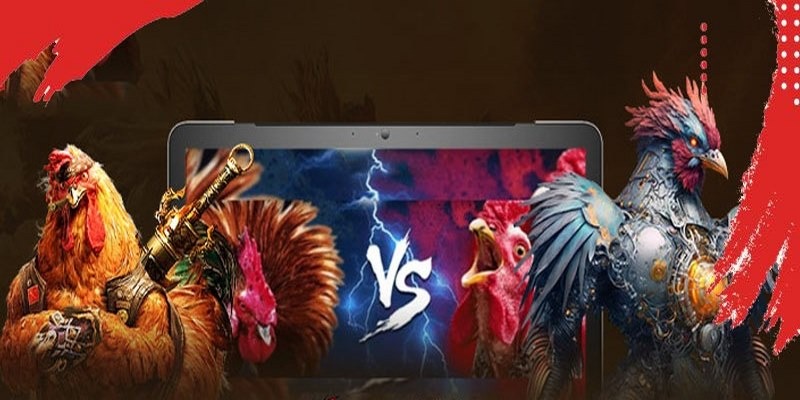 Bảng tỷ lệ cược rõ ràng, dễ theo dõi để vào tiền cho chiến kê